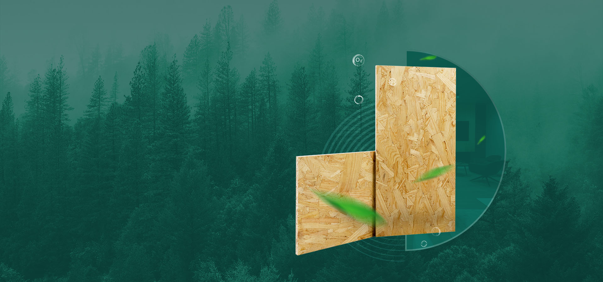 ����ṹ��(��ľ)